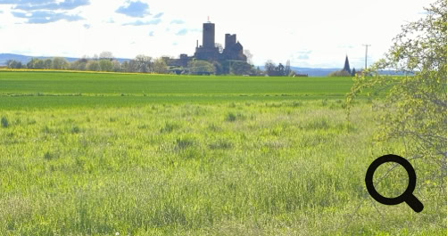 Das Logo der West Wetterau