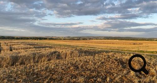 Die goldene Wetterau